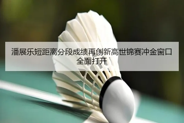 潘展乐短距离分段成绩再创新高世锦赛冲金窗口全面打开 - YIDESPORTS
